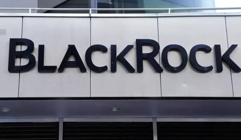 BlackRock: All information you need to know