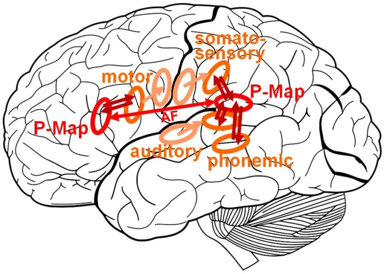 What is Brain Mapping? All its usage